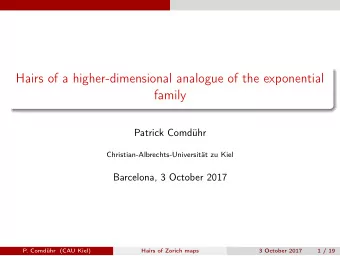 Hairs of a higher-dimensional analogue of the exponential  family  Patrick Comdhr