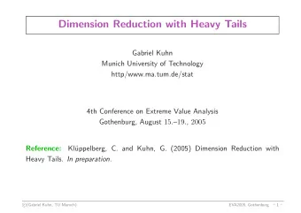 Dimension Reduction with Heavy Tails  Gabriel Kuhn  Munich University of Technology