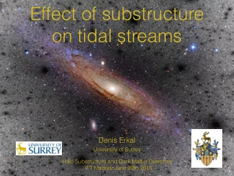 Effect of substructure  on tidal streams  Denis Erkal  University of Surrey Halo Substructure and