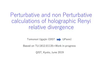 Perturbative and non Perturbative  calculations of holographic Renyi  relative divergence  Tomonori