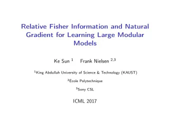 Relative Fisher Information and Natural  Gradient for Learning Large Modular  Models Ke Sun 1 Frank