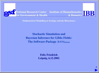 The Software Package A NTS InFields A NTS InFields is a Software Package for Simulation and