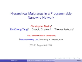 Hierarchical Majoranas in a Programmable  Nanowire Network Christopher Mudry 1 Zhi-Cheng Yang 2