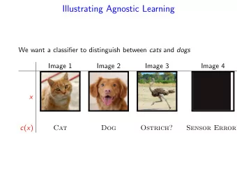 Illustrating Agnostic Learning We want a classifier to distinguish between cats and dogs  Image 1
