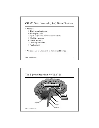 The 3-pound universe we live in  Cerebrum/Cerebral Cortex  Thalamus  Hypothalamus  Pons