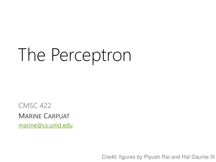 the perceptron