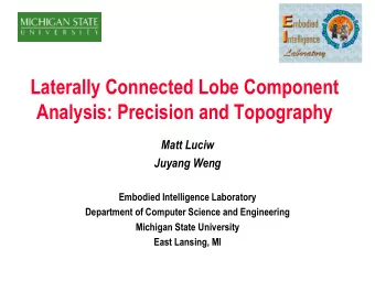 Laterally Connected Lobe Component  Analysis: Precision and Topography  Matt Luciw  Juyang Weng