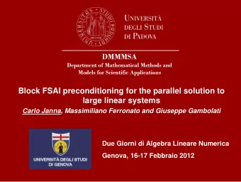 DMMMSA  Department of Mathematical Methods and  Models for Scientific Applications  Block FSAI