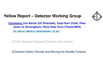 Yellow Report  Detector Working Group  Conveners: Ken Barish (UC Riverside), Tanja Horn (CUA),
