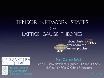 TENSOR  NETWORK  STATES  FOR  LATTICE  GAUGE  THEORIES  about classical  TNS  simulations of a