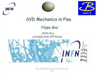 SVD Mechanics in Pisa  Filippo Bosi  INFN-Pisa  on behalf of the SVT Group  F.Bosi,  BELLE2 VXD
