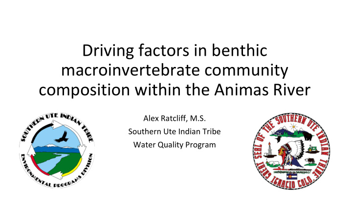 driving factors in benthic macroinvertebrate community