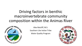 Driving factors in benthic  macroinvertebrate community  composition within the Animas River  Alex