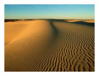 Wearestudentsofhighschoolandfirstsemesters  ofcollege.