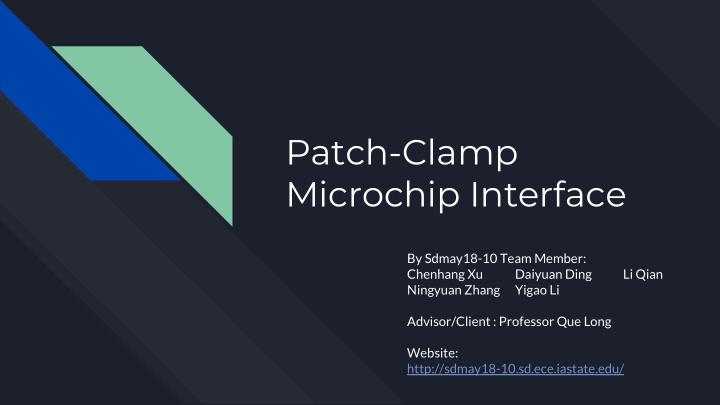 patch clamp microchip interface
