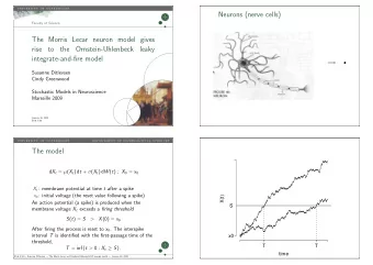 Neurons (nerve cells)  Faculty of Science  The Morris Lecar neuron model gives  rise  to  the