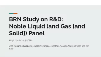 BRN Study on R&amp;D:  Noble Liquid (and Gas [and  Solid]) Panel  Hugh Lippincott (UCSB) with