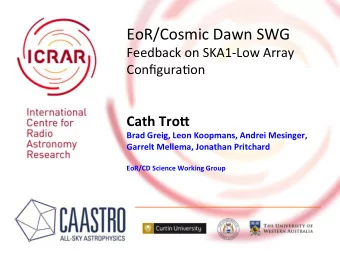 EoR/Cosmic  Dawn  SWG    Feedback  on  SKA1-Low  Array    ConfiguraAon
