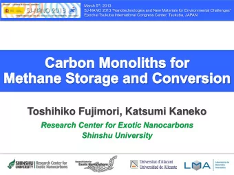 Toshihiko Fujimori, Katsumi Kaneko  Research Center for Exotic Nanocarbons  Shinshu University  The