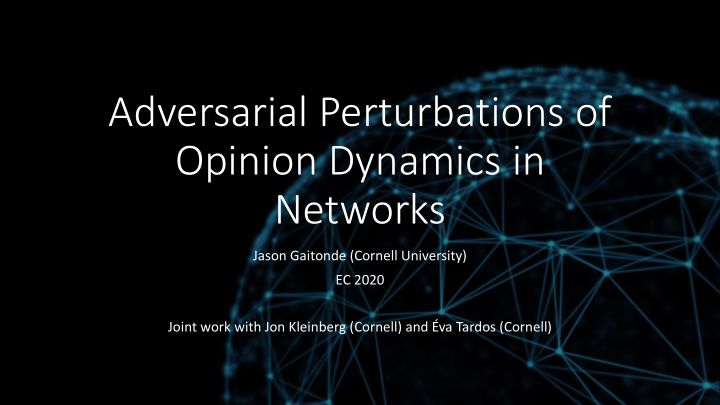 adversarial perturbations of opinion dynamics in networks