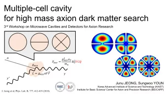 Multiple-cell cavity  for high mass axion dark matter search 3 rd Workshop on Microwave Cavities