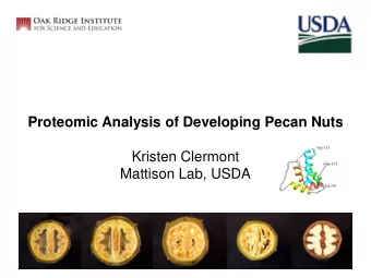 Proteomic Analysis of Developing Pecan Nuts  Kristen Clermont  Mattison Lab, USDA  Why study