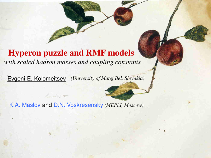 hyperon puzzle and rmf models