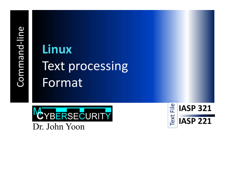 text processing format