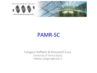PAMR-SC  Calogero Raffaele &amp; Alessandr Luca  University of Torino (Italy)