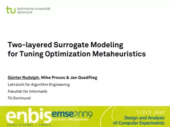 Two-layered Surrogate Modeling  for Tuning Optimization Metaheuristics  Gnter Rudolph, Mike