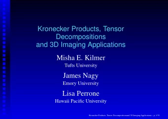 Misha E. Kilmer  Tufts University  James Nagy  Emory University  Lisa Perrone  Hawaii Pacific