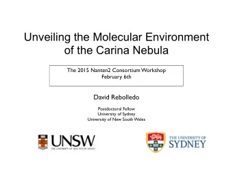 Unveiling the Molecular Environment  of the Carina Nebula  The 2015 Nanten2 Consortium Workshop