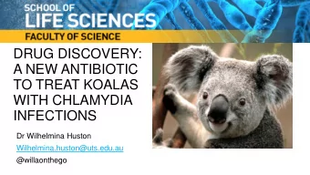 DRUG DISCOVERY:  A NEW ANTIBIOTIC  TO TREAT KOALAS  WITH CHLAMYDIA  INFECTIONS  Dr Wilhelmina