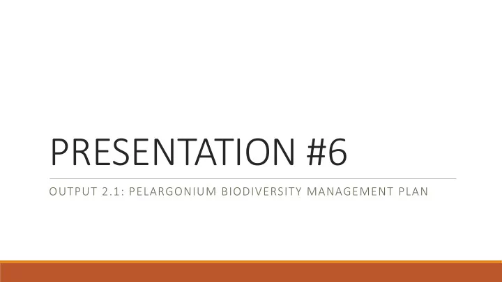 presentation 6