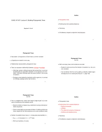CSCE 471/871 Lecture 5: Building Phylogenetic Trees  Building trees from pairwise distances