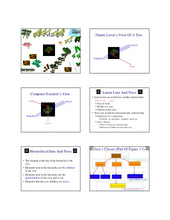 Nature Lovers View Of A Tree  Trees  leaves  branches  root  Linear Lists And Trees  Computer