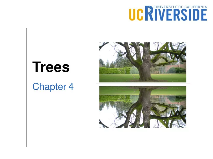 trees