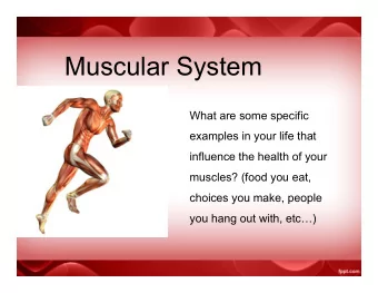 Muscular System  What are some specific  examples in your life that  influence the health of your