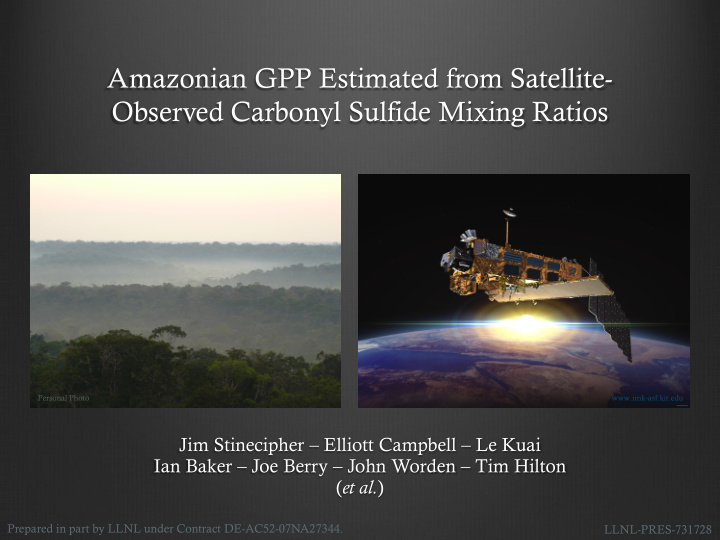 amazonian gpp estimated from satellite observed carbonyl