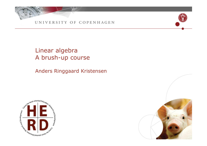 linear algebra a brush up course