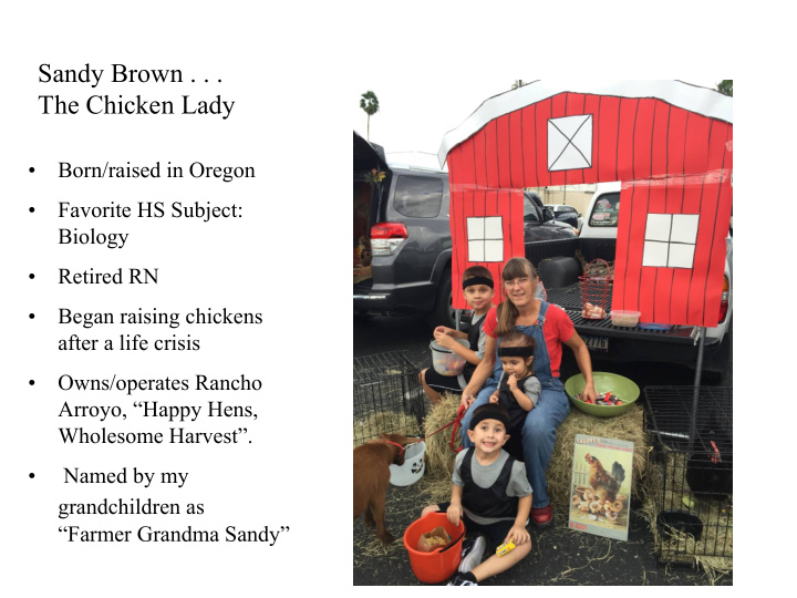 sandy brown the chicken lady