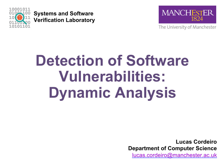detection of software vulnerabilities dynamic analysis