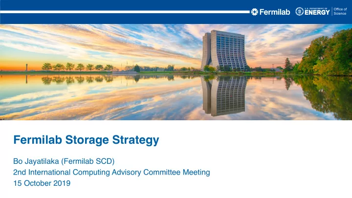 fermilab storage strategy