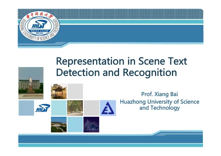 representation in scene text detection and recognition