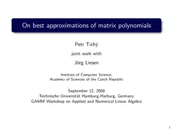 On best approximations of matrix polynomials  Petr Tich  joint work with  Jrg Liesen  Institute