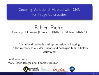 Fabien Pierre.  University of Lorraine (France), LORIA, INRIA team MAGRIT.  Variational methods and