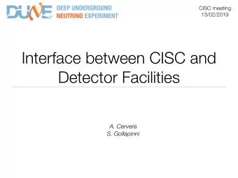 Interface between CISC and  Detector Facilities  A. Cervera  S. Gollapinni  Contents of interface