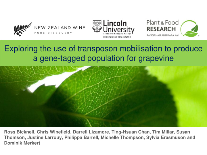 exploring the use of transposon mobilisation to produce a