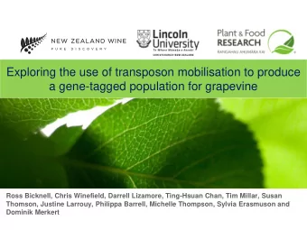 Exploring the use of transposon mobilisation to produce  a gene-tagged population for grapevine