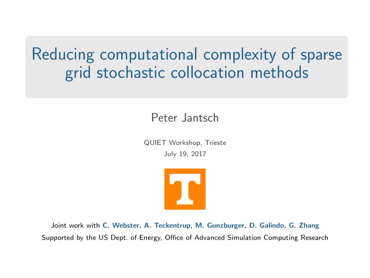 reducing computational complexity of sparse grid